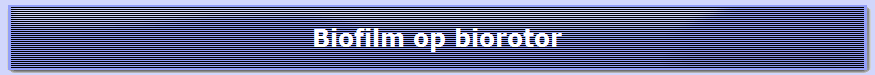 Biofilm op biorotor